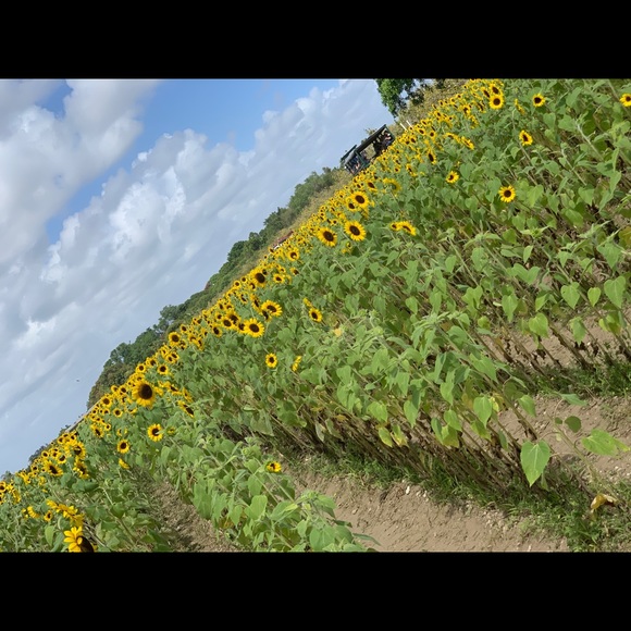 Meet your Posher, Jenny - Picture 1 of 1